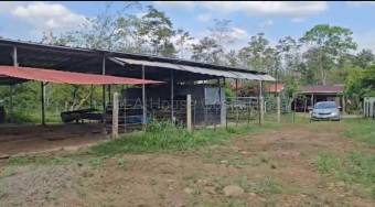 Venta de Lote en San Carlos-Florencia, Alajuela. RAH 26-1839