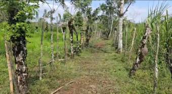 Venta de Lote en San Carlos-Florencia, Alajuela. RAH 26-1839