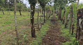 Venta de Lote en San Carlos-Florencia, Alajuela. RAH 26-1839