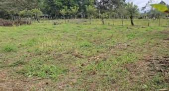 Venta de Lote en San Carlos-Florencia, Alajuela. RAH 26-1839