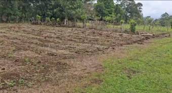 Venta de Lote en San Carlos-Florencia, Alajuela. RAH 26-1839