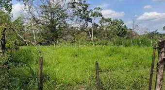 Venta de Lote en San Carlos-Florencia, Alajuela. RAH 26-1839