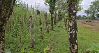 Venta de Lote en San Carlos-Florencia, Alajuela. RAH 26-1839