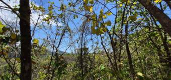 Venta de Lote en Parrita-Puntarenas. 