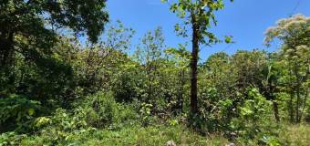 Venta de Lote en Parrita-Puntarenas. 