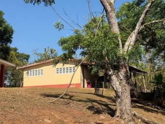 Estate For Sale in Esparza