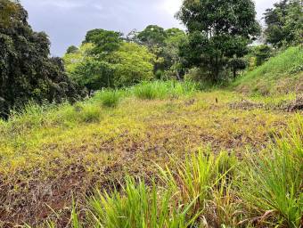 Venta finca amplia con potencial agrícola o turístico en entorno natural #26-1801 GS