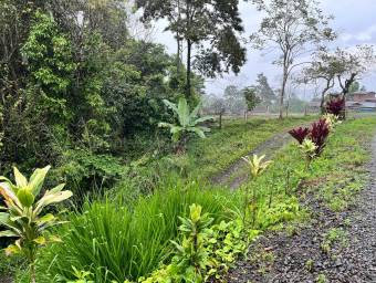 Venta finca amplia con potencial agrícola o turístico en entorno natural #26-1801 GS