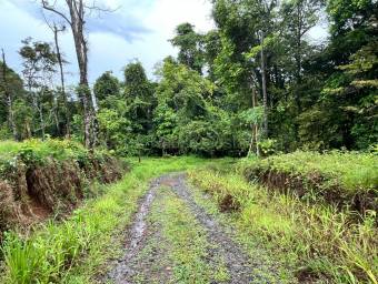 Venta finca amplia con potencial agrícola o turístico en entorno natural #26-1801 GS