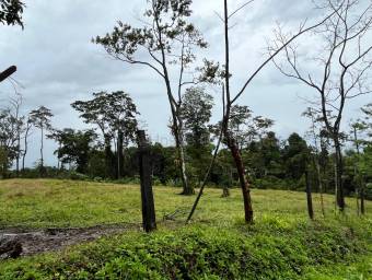 Venta finca amplia con potencial agrícola o turístico en entorno natural #26-1801 GS