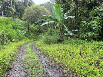 Venta finca amplia con potencial agrícola o turístico en entorno natural #26-1801 GS