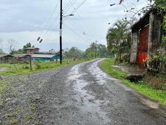 Venta finca amplia con potencial agrícola o turístico en entorno natural #26-1801 GS
