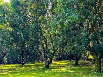  Hermosa propiedad a minutos de San José y Jacó 