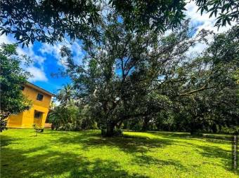  Hermosa propiedad a minutos de San José y Jacó 