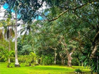  Hermosa propiedad a minutos de San José y Jacó 