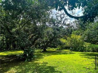  Hermosa propiedad a minutos de San José y Jacó 