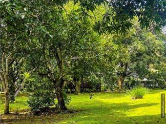  Hermosa propiedad a minutos de San José y Jacó 