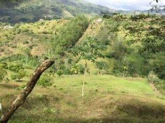 Venta de Finca en Turrialba-Cartago. RAH 26-1245