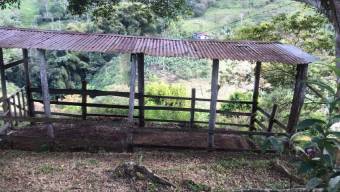 Venta de Finca en Turrialba-Cartago. RAH 26-1245