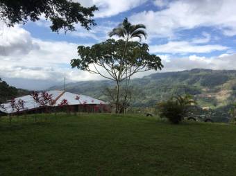 Venta de Finca en Turrialba-Cartago. RAH 26-1245