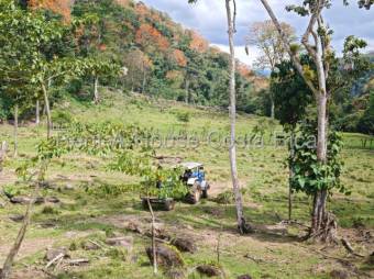 MLS-26-1444 VENTA HERMOSA FINCA MURCIA TURRIALBA CONTACTENOS AL # 88987222