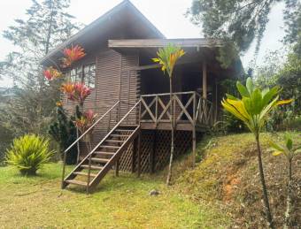 CABAÑA DE MONTAÑA PALO VERDE CARTAGO