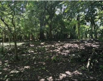 Finca con vista al río en Guasimal de Monteverde 
