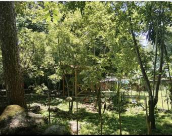 Finca con vista al río en Guasimal de Monteverde 