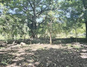 Finca con vista al río en Guasimal de Monteverde 