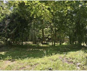 Finca con vista al río en Guasimal de Monteverde 