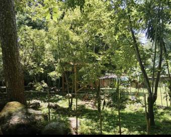 Finca con vista al río en Guasimal de Monteverde 