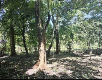 Finca con vista al río en Guasimal de Monteverde 