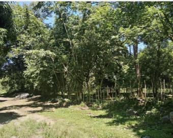 Finca con vista al río en Guasimal de Monteverde 