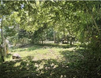 Finca con vista al río en Guasimal de Monteverde 