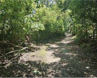 Finca con vista al río en Guasimal de Monteverde 