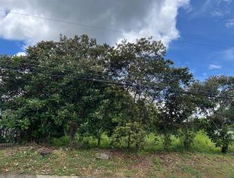 Lote en venta con excelente ubicación y fácil acceso en Turrubares #26-1315 GS