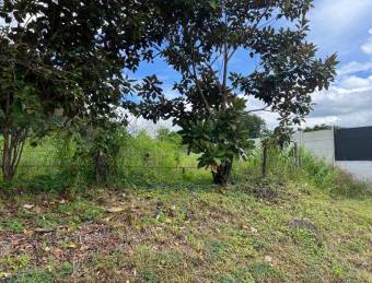 Lote en venta con excelente ubicación y fácil acceso en Turrubares #26-1315 GS