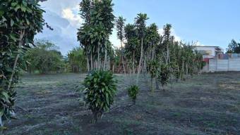 Venta de Lote en San Rafael-Concepción. RAH 26-1855 PRECIO REBAJADO