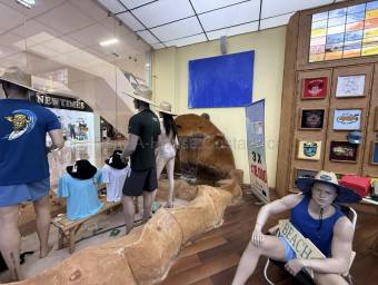 Se Vende Local Comercial en Paseo de Las Flores, $ 511,813, 0.5, Heredia, Heredia