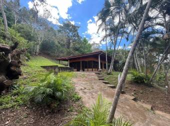 Venta de OPORTUNIDAD Casa con Terreno de 3015m2 en Acosta 26-1273