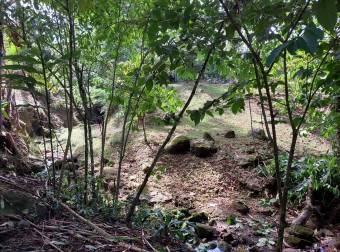 Venta de Casa con Terreno de 2,382m2 en Sarapiqui 26-1092