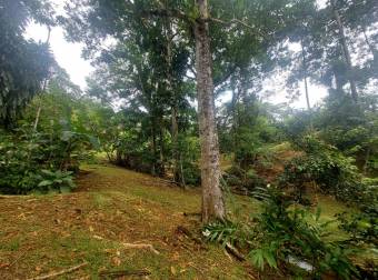 Venta de Casa con Terreno de 2,382m2 en Sarapiqui 26-1092