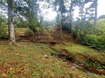 Venta de Casa con Terreno de 2,382m2 en Sarapiqui 26-1092