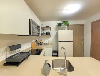 Alquiler de Apartamento Amueblado en Tibás-Cinco Esquinas.