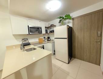 Alquiler de Apartamento Amueblado en Tibás-Cinco Esquinas.