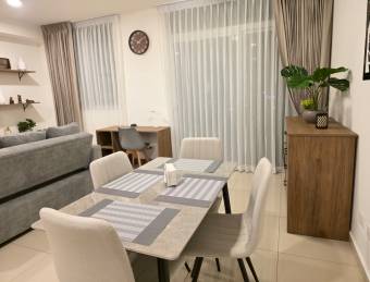 Alquiler de Apartamento Amueblado en Tibás-Cinco Esquinas.