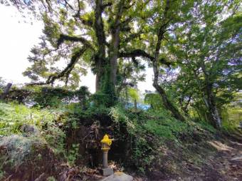 Venta de Lote en San Rafael, Montes de Oca. RAH 26-230
