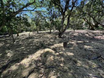 Lote en venta plano con ubicación estratégica en Piedades de Santa Ana #26-1867 GS