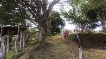 MLS-26-1245 LS VENTA LOTE LA SUIZA TURRIALBA CONTACTENOS AL  86127562