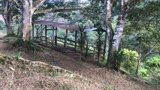 MLS-26-1245 LS VENTA LOTE LA SUIZA TURRIALBA CONTACTENOS AL  86127562